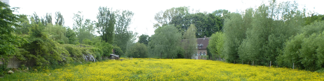 Grimbergen